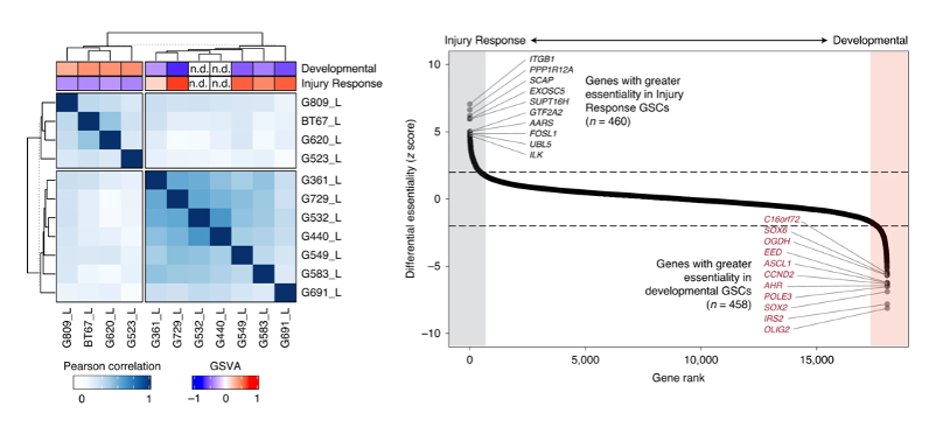 A NETWORK SHOWING LOCALIZATION AND MOVEMENT OF PROTEINS WITHIN THE CELL