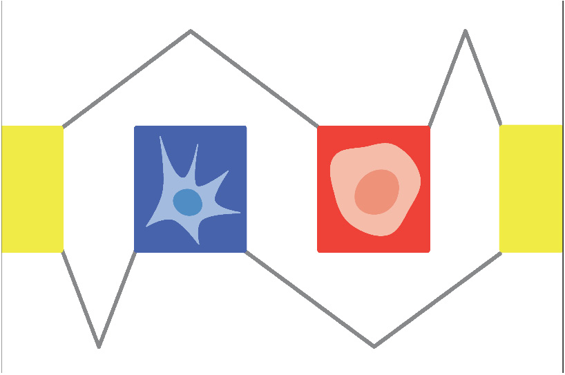 characterization of RNA regulatory networks