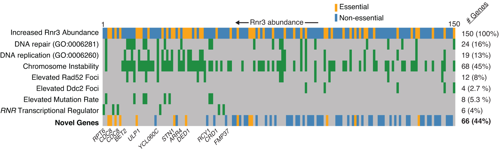 Genome instability gene and pathway identification