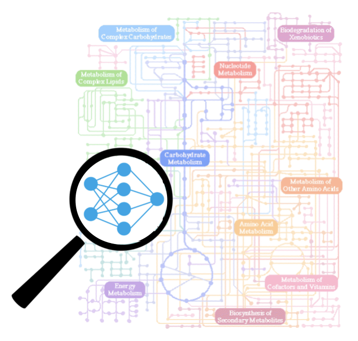 METABOLOME MAP