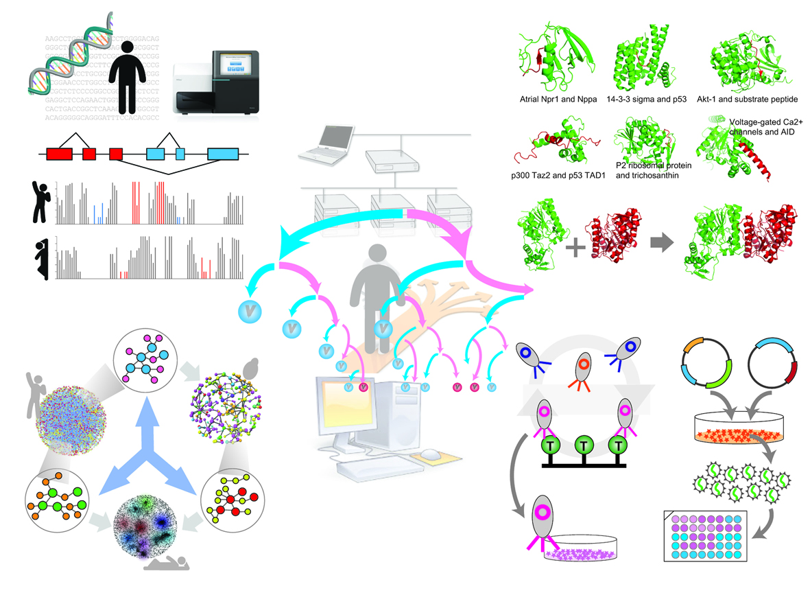 A SCHEAMTIC DEPICTING DIFFERENT APPROACHES AND PROJECTS CARRIED OUT IN THE KIM LAB