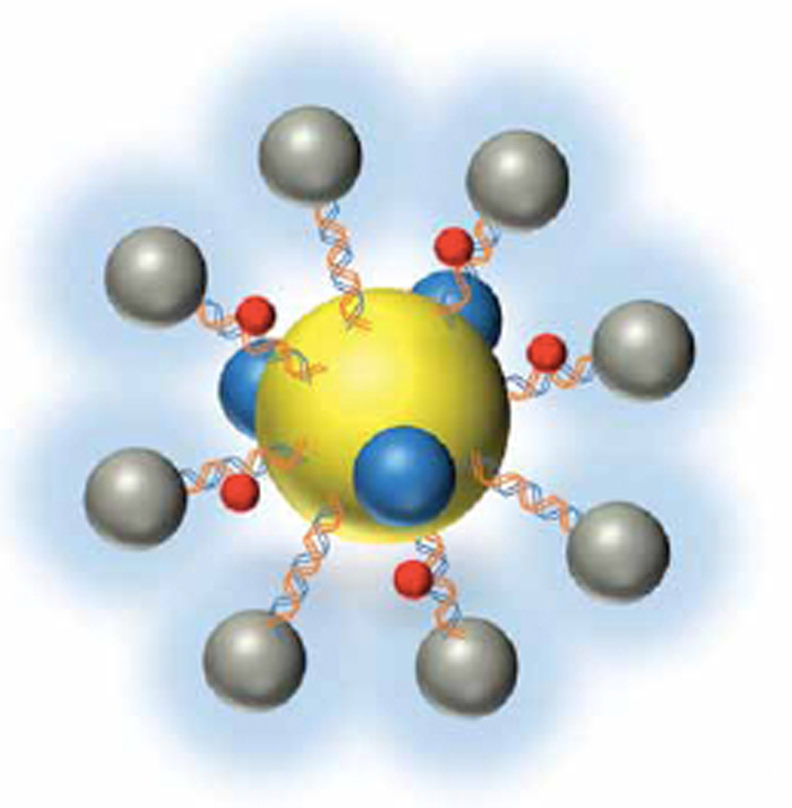 A DNA-ASSEMBLED NANO SYSTEM