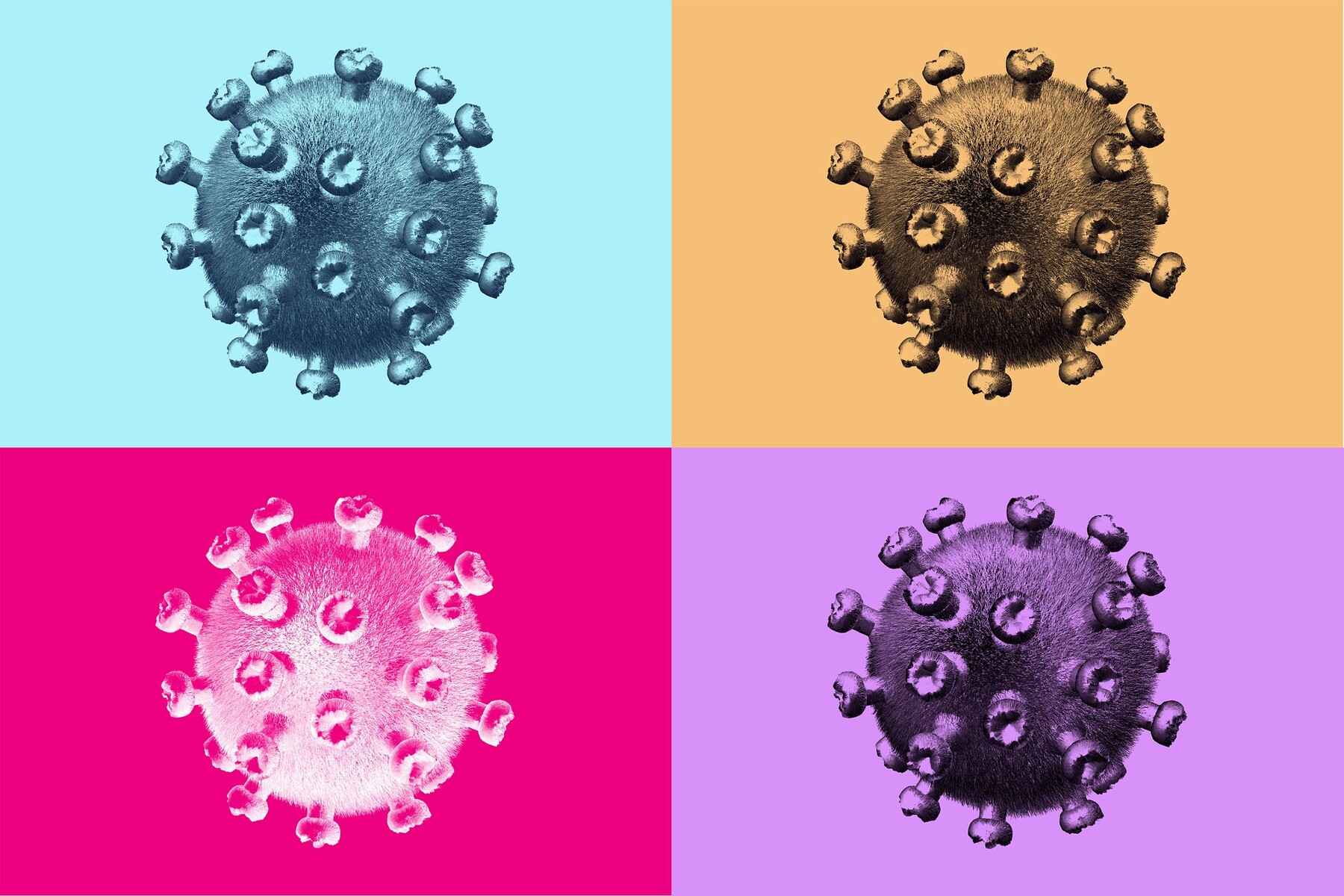 illustration depicting coronavirus particles
