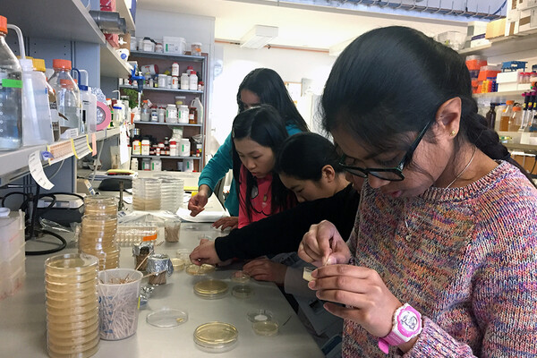 girls doing experiemnts in the lab
