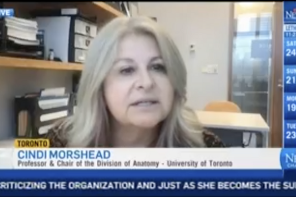 screenshot of Prof Morshead's appearance on CTV News