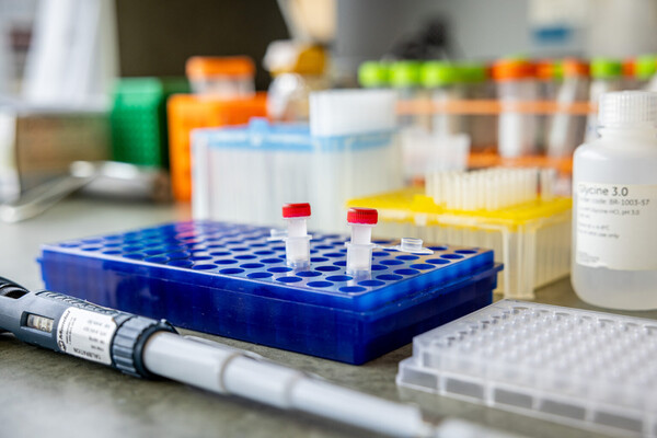 Close-up of lab bench with blue tray holding two centrifuge tubes