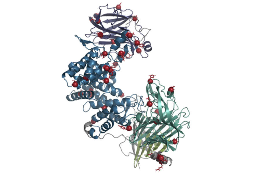 ABC enzyme structure