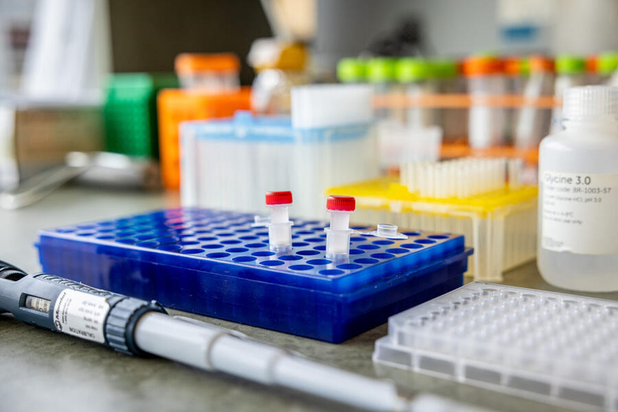 Close-up of lab bench with blue tray holding two centrifuge tubes