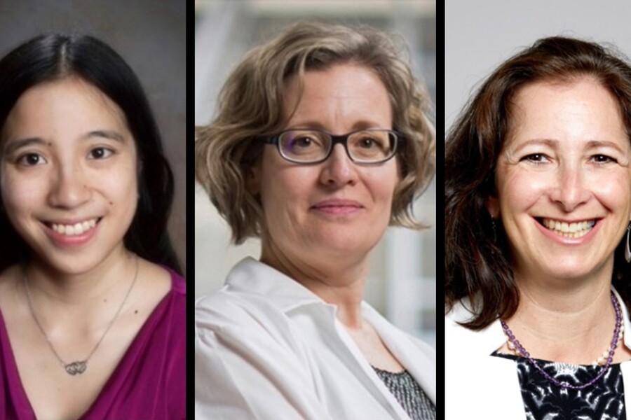 Composite of headshots of Margaret Ho, Valerie Wallace and Molly Shoichet