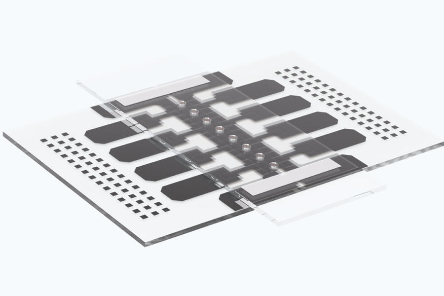 microfluidic chip with an array of droplets