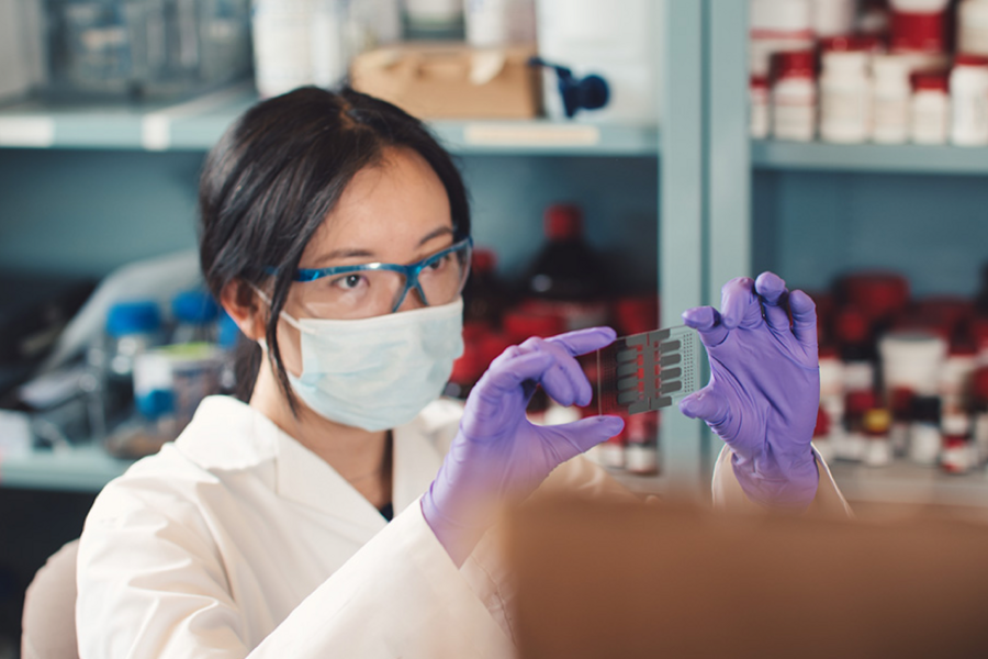 A researcher holding a credit card sized device for studying cancer cell invasion of host tissue