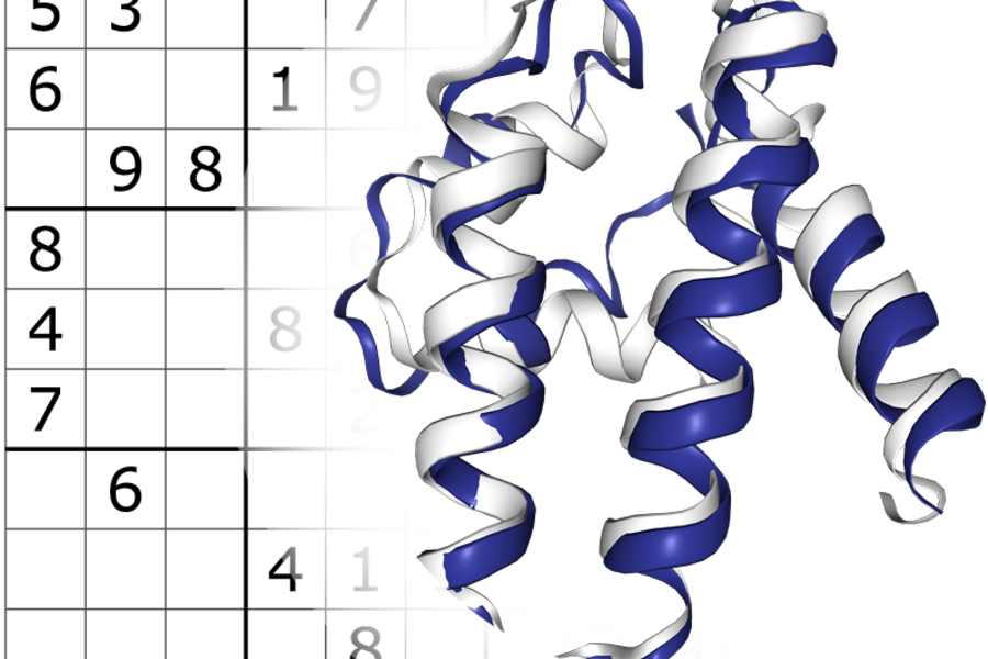 structure of  protein molecule