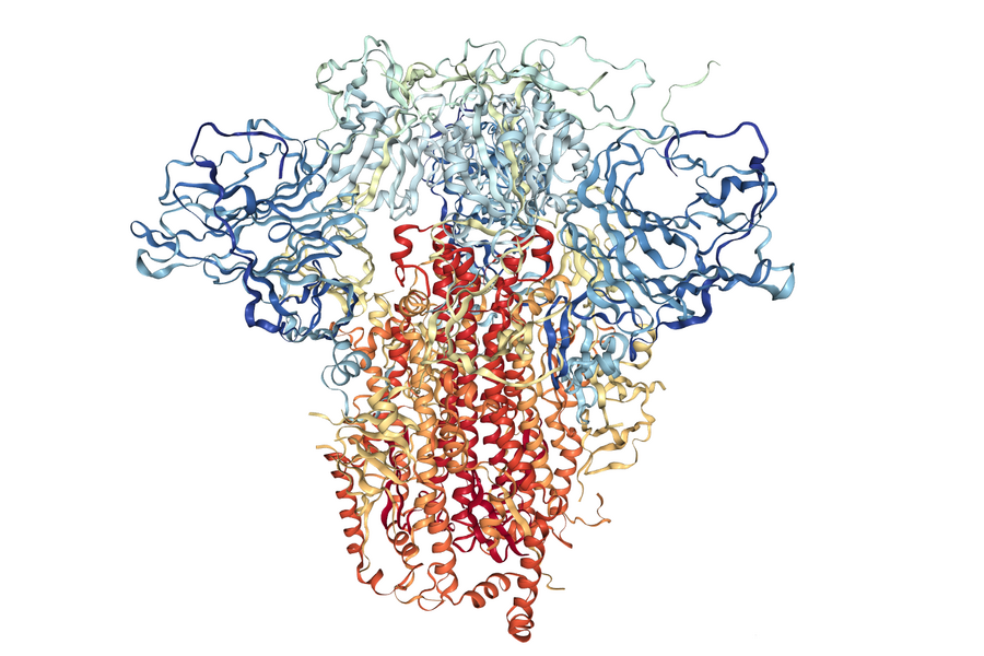 structure of the spike protein