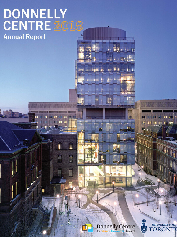front page of 2019 annual report