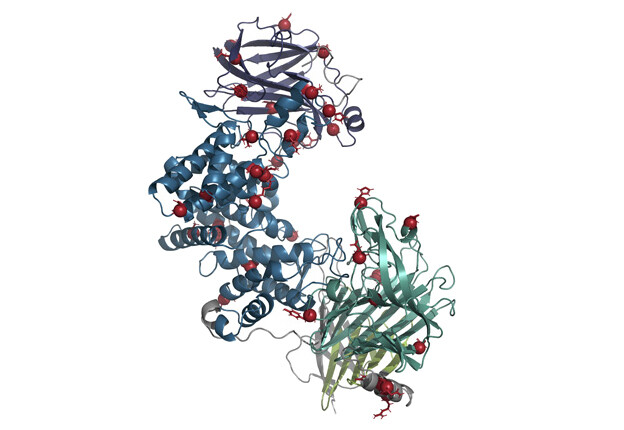 ABC enzyme structure