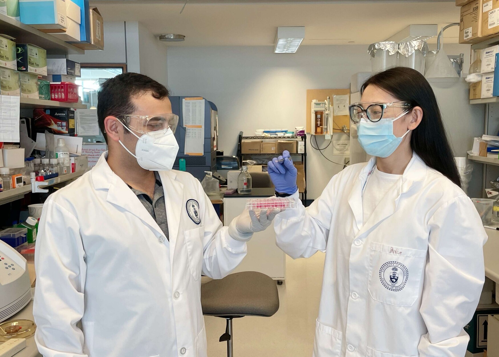 male and female researchers in lab coats and face masks investigating a plate of cells in the lab