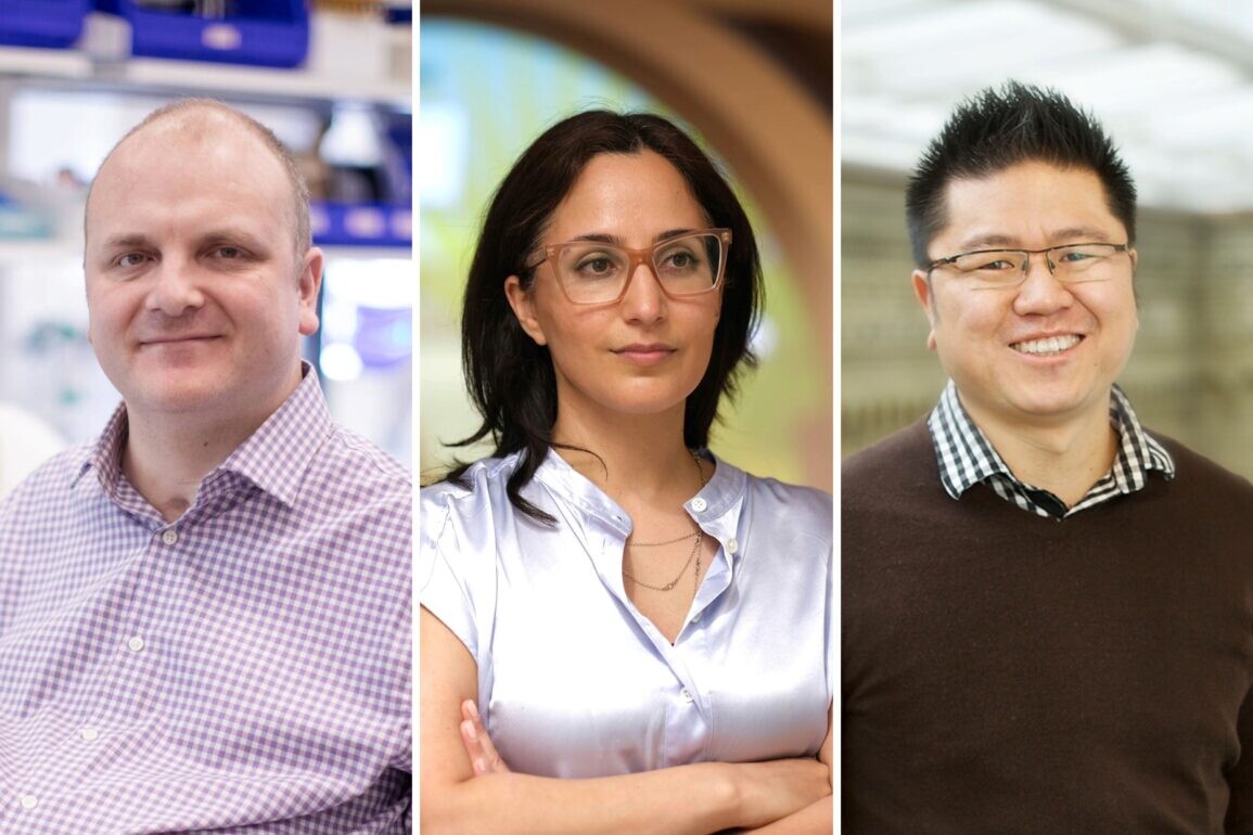 Headshots of Michael Garton, Azadeh Kushki and Warren Chan