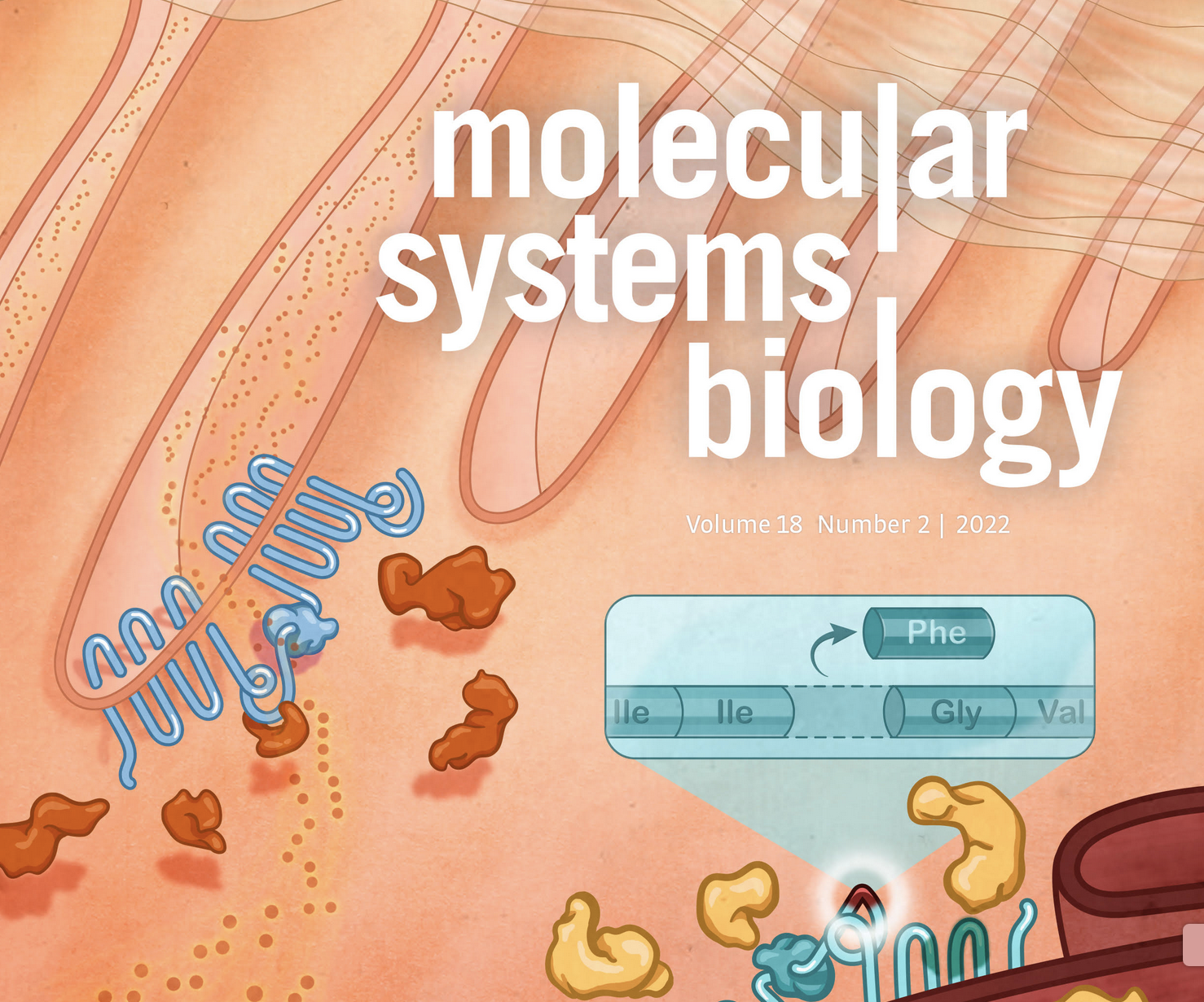 cover page of scientific journal