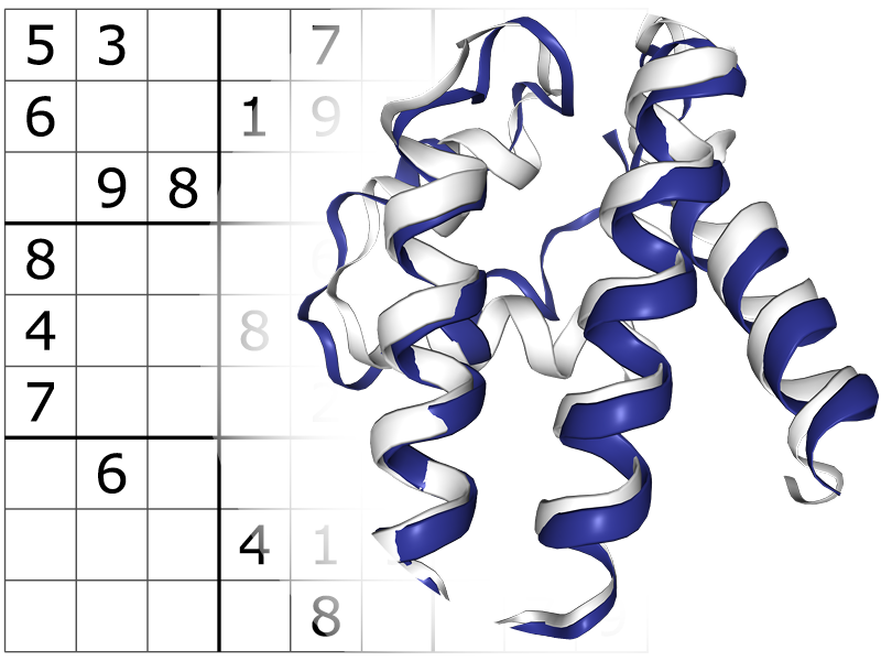 structure of  protein molecule