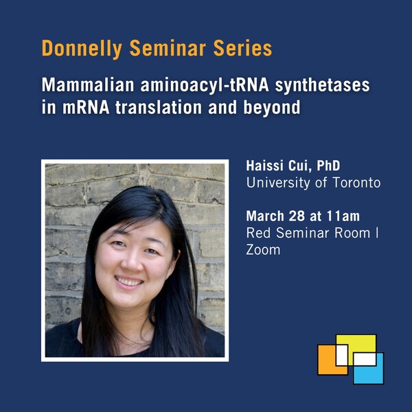 Social media card for Donnelly Centre seminar on "Mammalian aminoacyl-tRNA synthetases in mRNA translation and beyond"