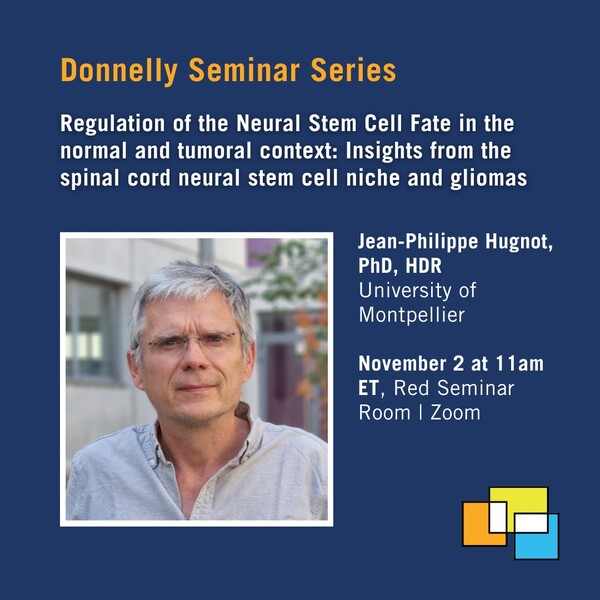 Social media card for Donnelly Centre seminar on "Regulation of neural stem cell fate"