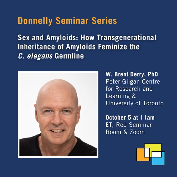 Social media card for Donnelly Centre seminar on "Sex and amyloids"
