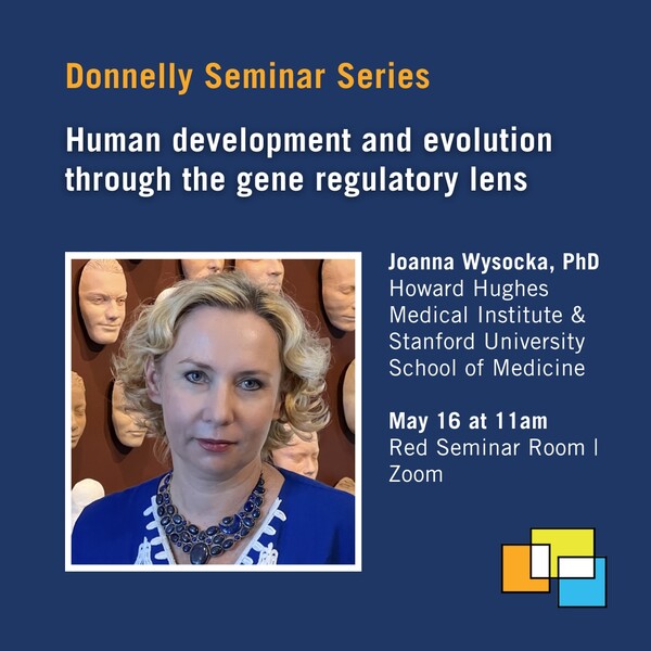 Social media card for Donnelly Centre seminar on "Human development and evolution through the gene regulatory lens"