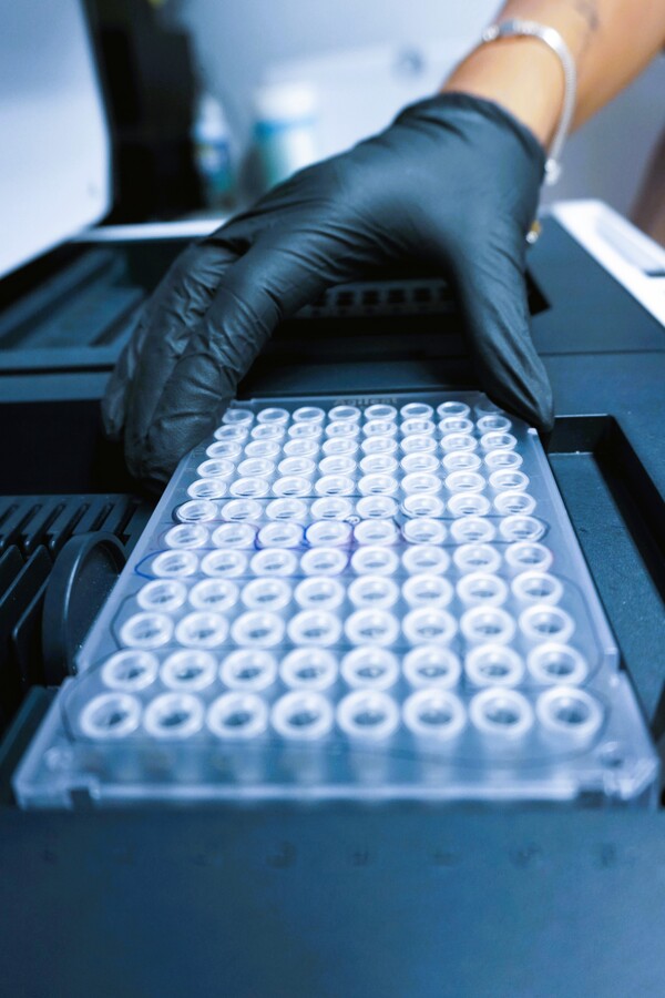 Gloved hand holding samples