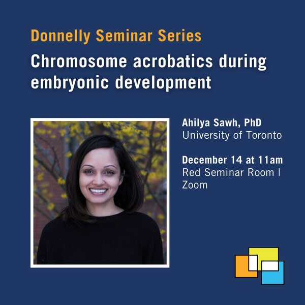 Social media card for Donnelly Centre Seminar on "Chromosome acrobatics during embryonic development"